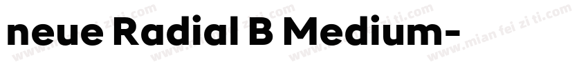 neue Radial B Medium字体转换
